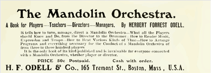 The Mandolin Orchestra