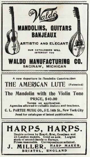 mandolins-guitars-american-lute.jpg